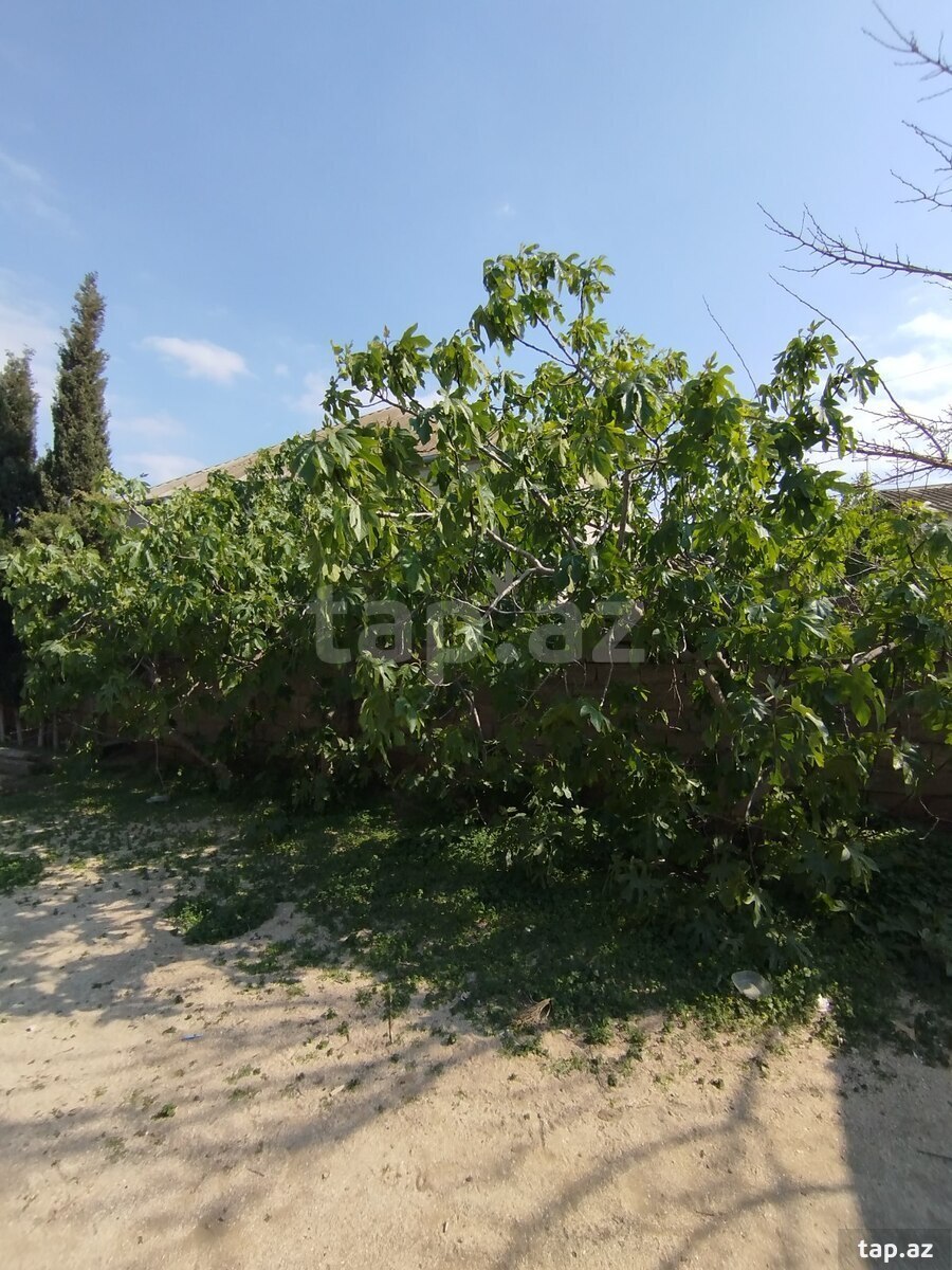 Həyət evi, Corat qəs.