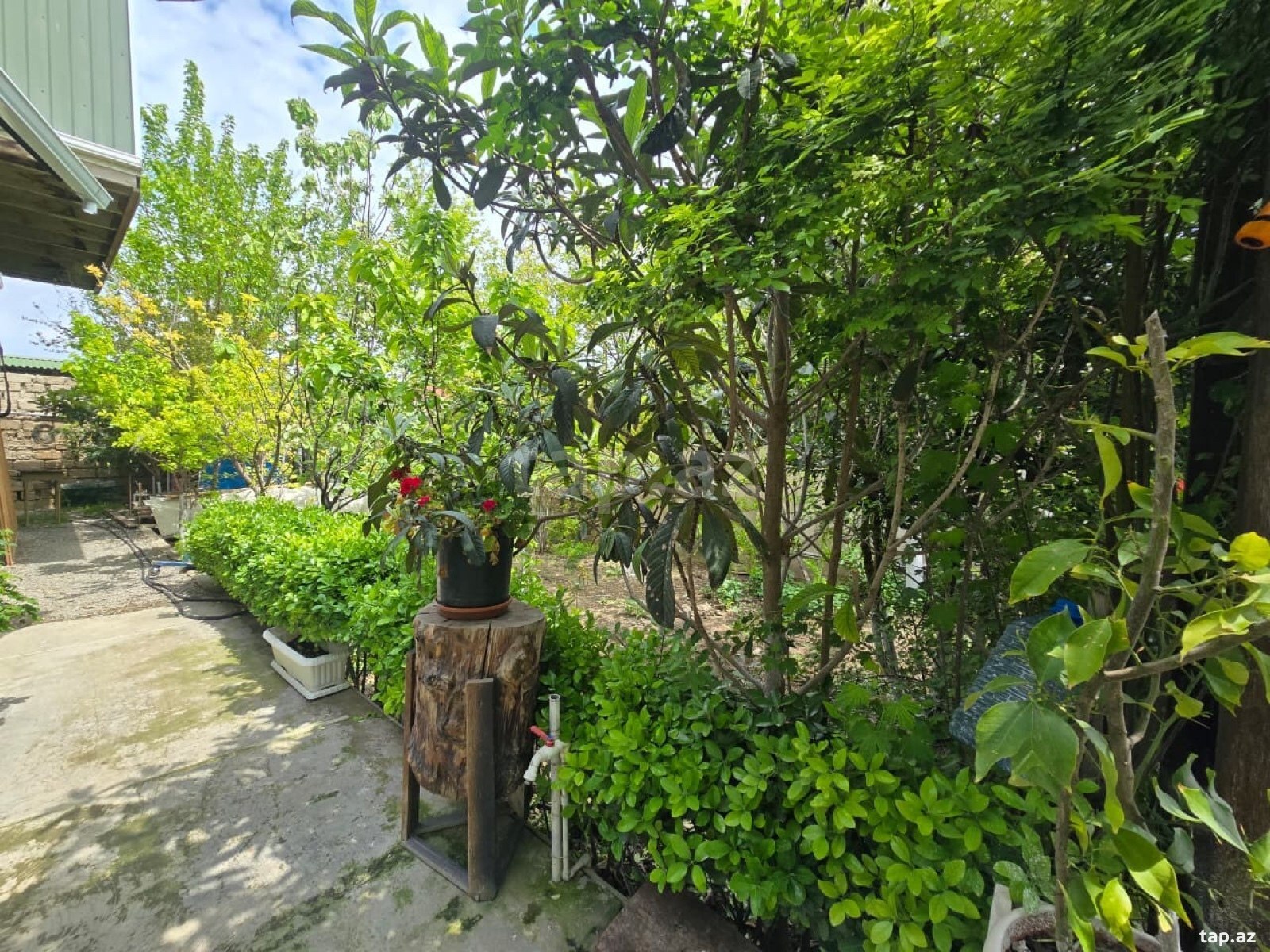 Həyət evi, Binə qəs. (4)