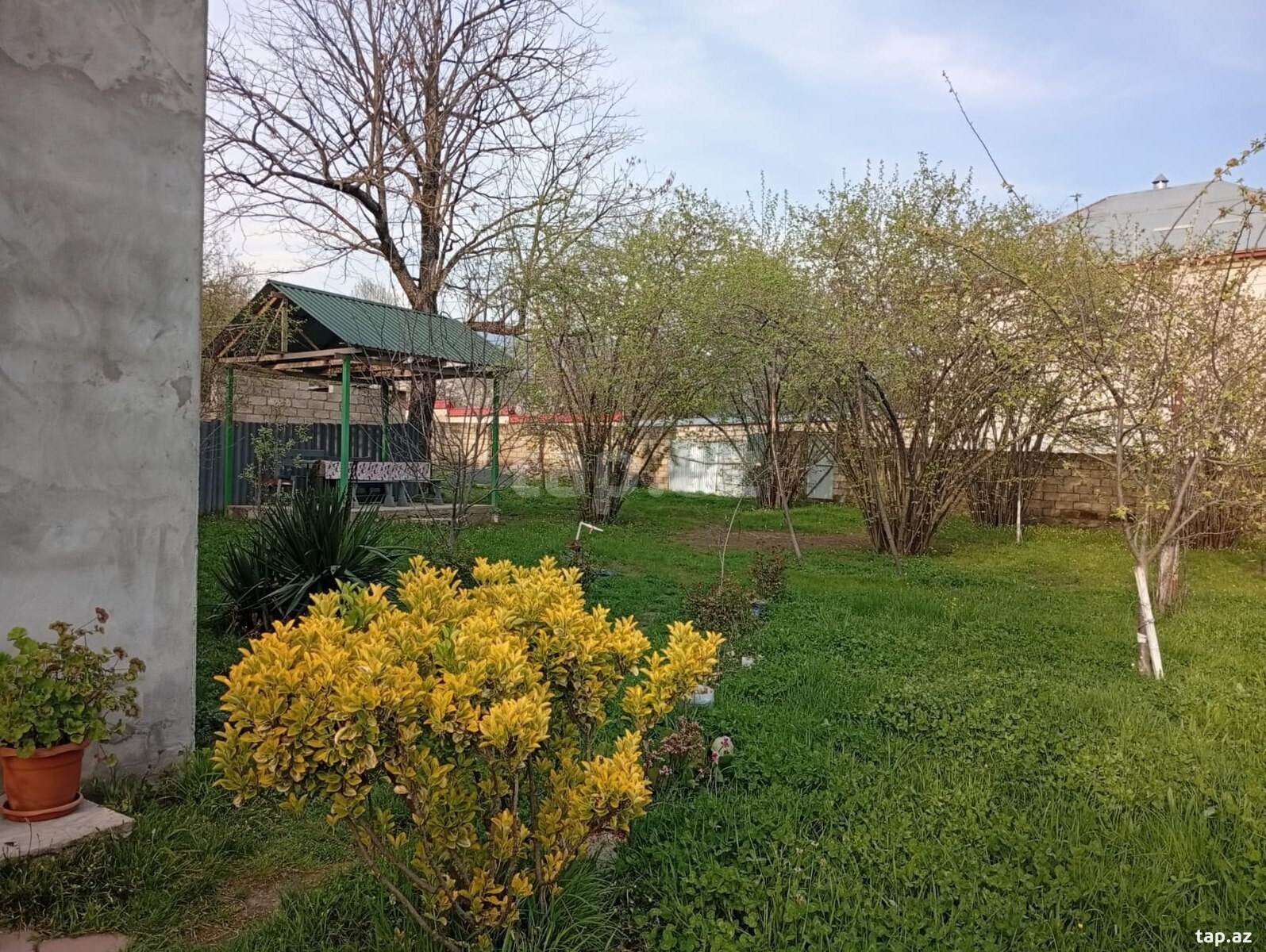 Həyət evi kirayə verilir, Qəbələ r. (2)