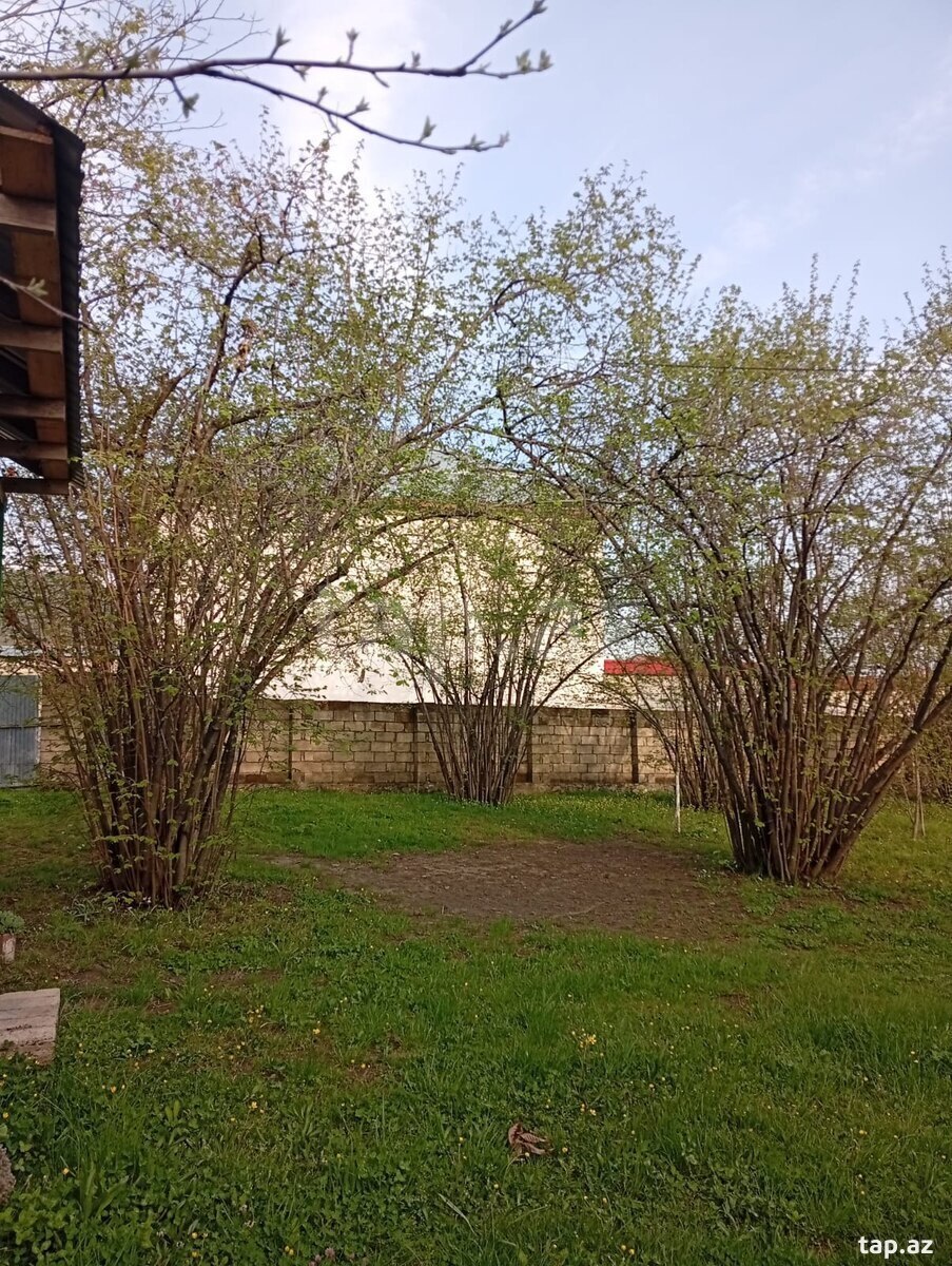 Həyət evi kirayə verilir, Qəbələ r. (14)
