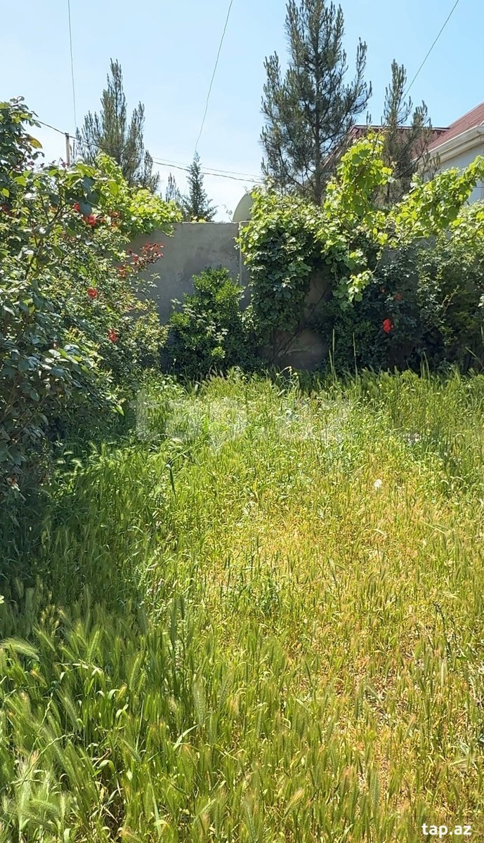 Həyət evi, Novxanı qəs. (2)