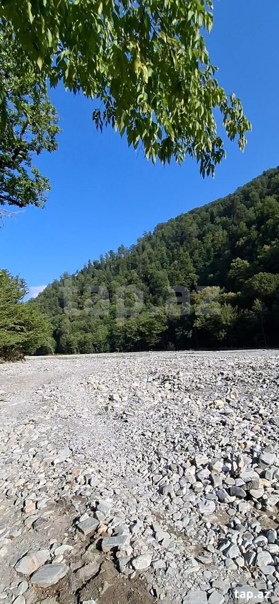 Həyət evi kirayə verilir, İsmayıllı r. (24)