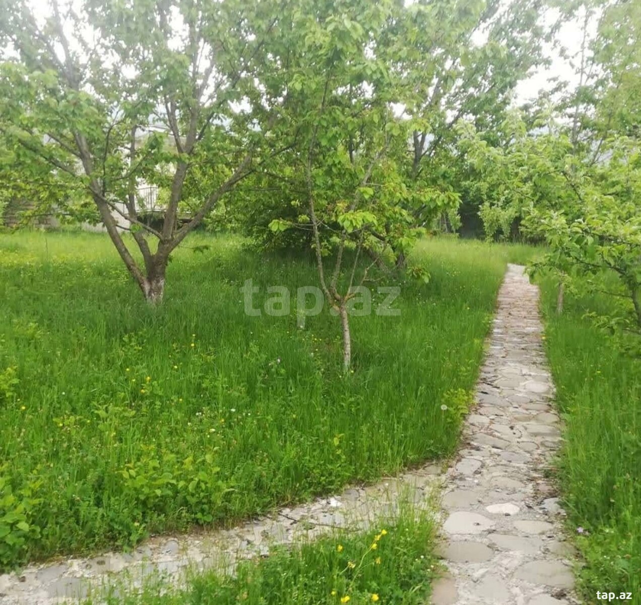 Bağ evi kirayə verilir, Quba r. (5)