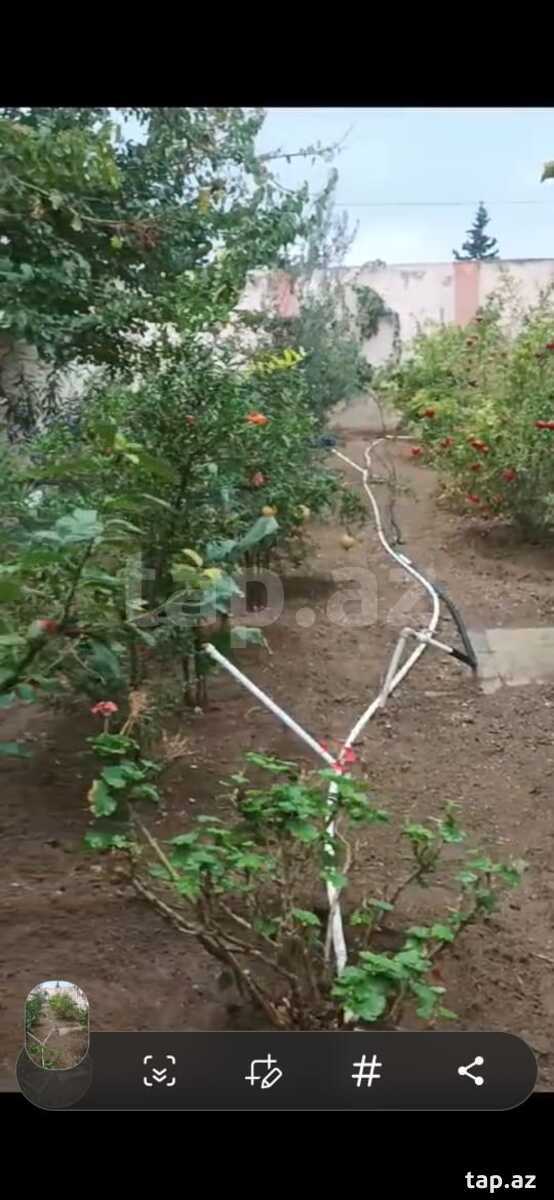 Bağ evi kirayə verilir, Şüvəlan qəs. (11)