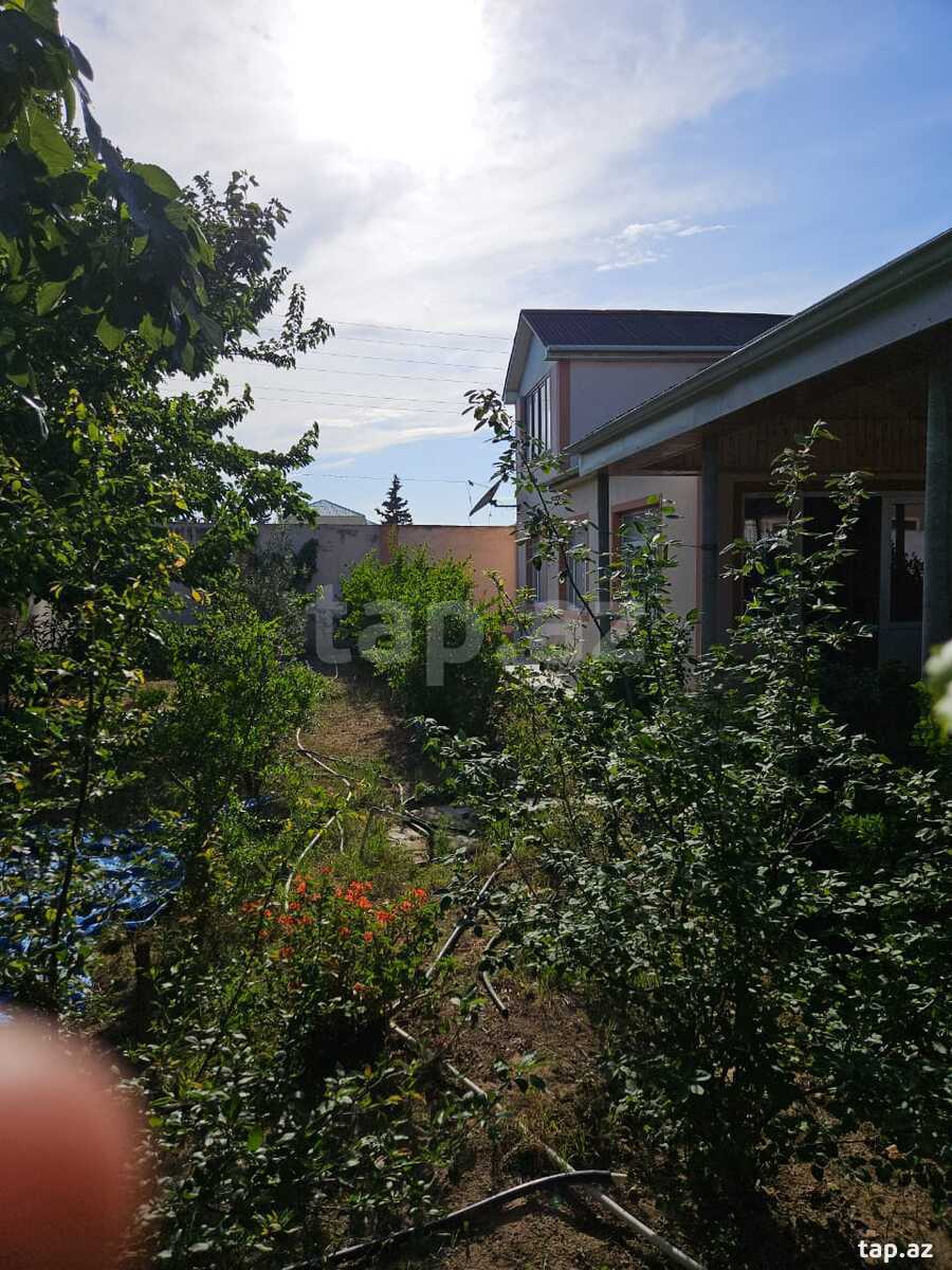 Bağ evi kirayə verilir, Şüvəlan qəs. (10)