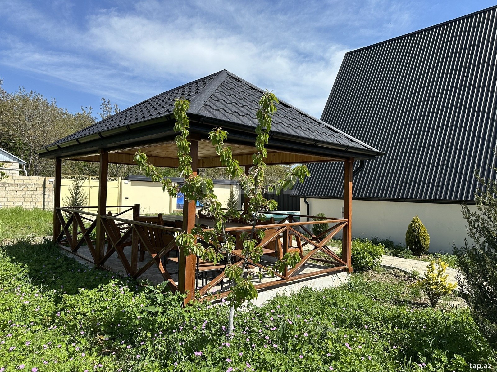 Bağ evi kirayə verilir, Alpan kəndi (14)