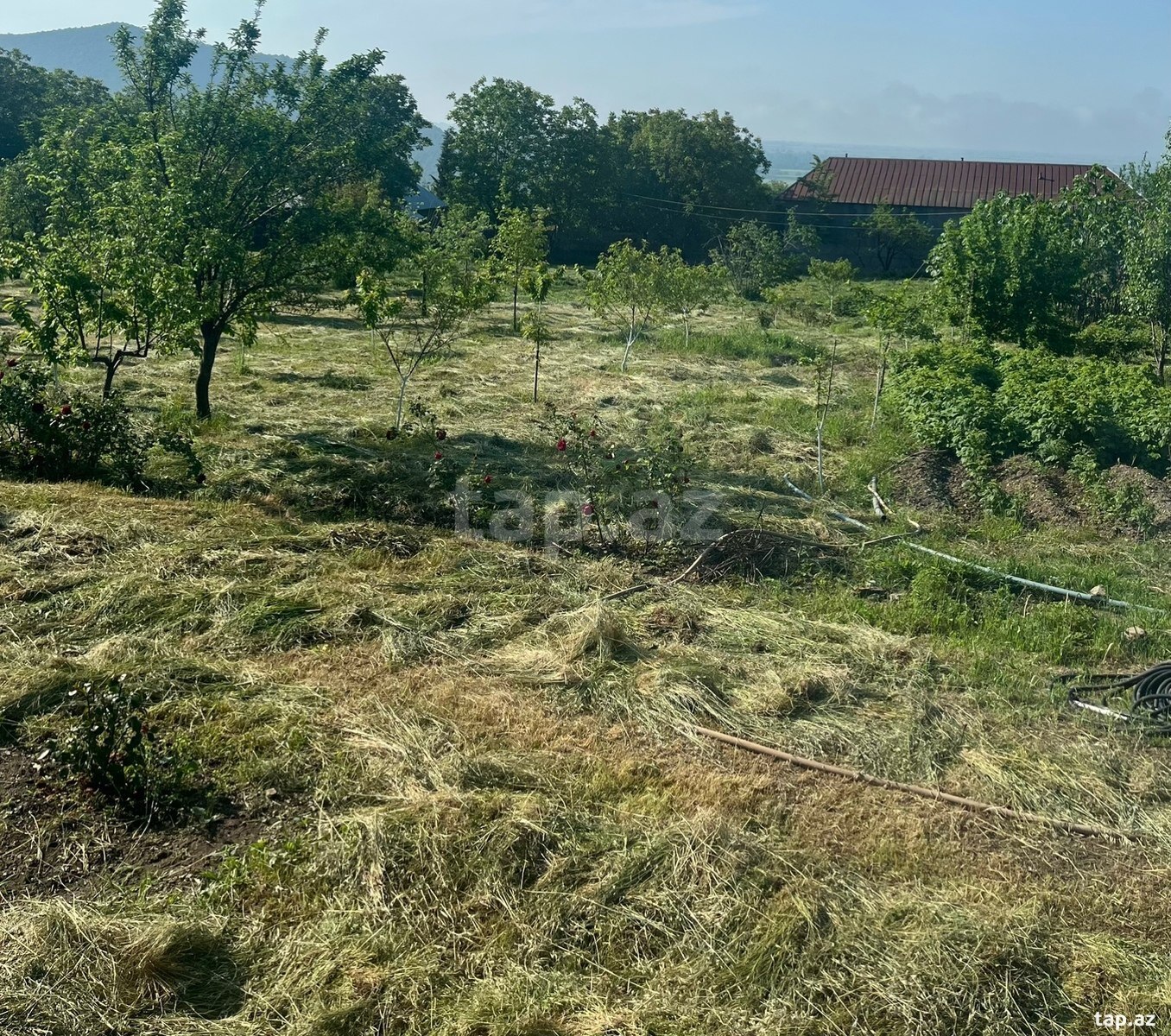 Земельный участок на продажу, Габала, Габала
