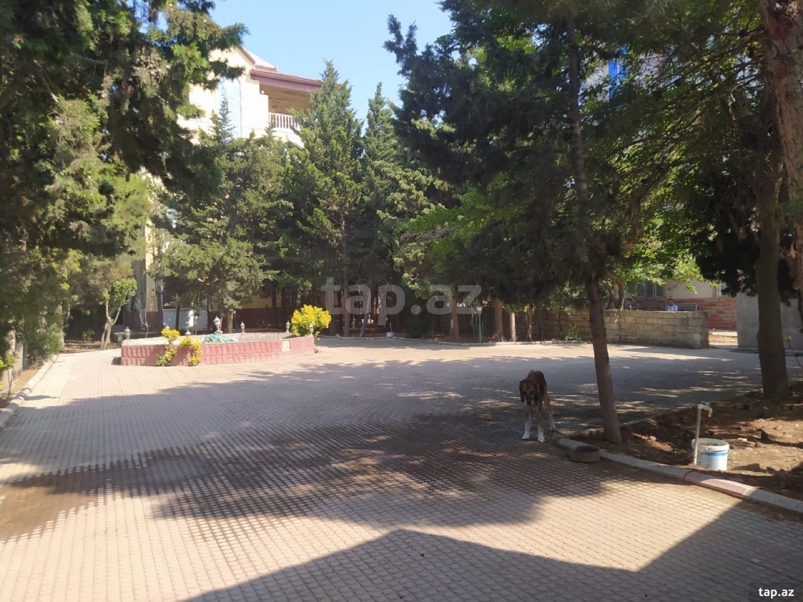 Bağ evi, Görədil qəs. (4)