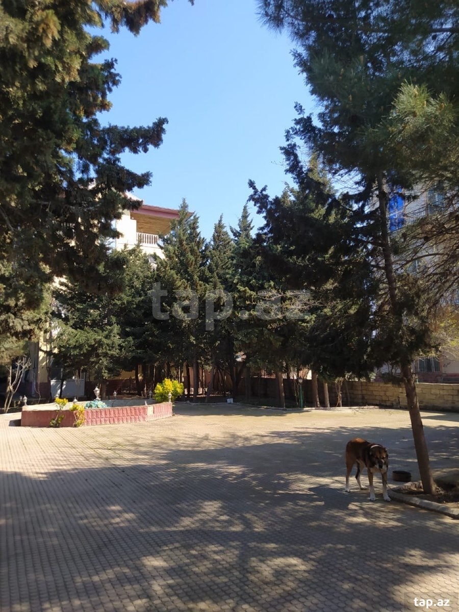 Bağ evi, Görədil qəs. (14)