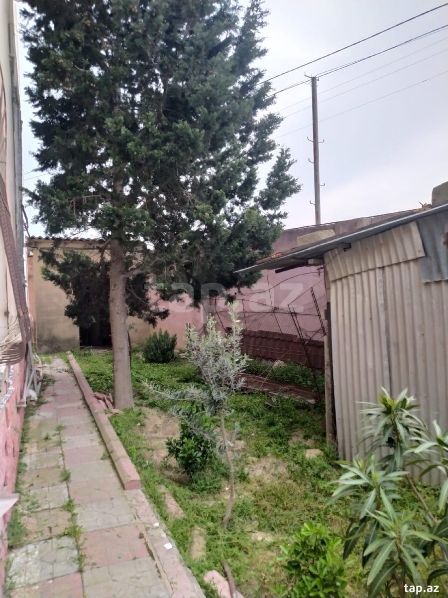 Bağ evi, Görədil qəs. (11)