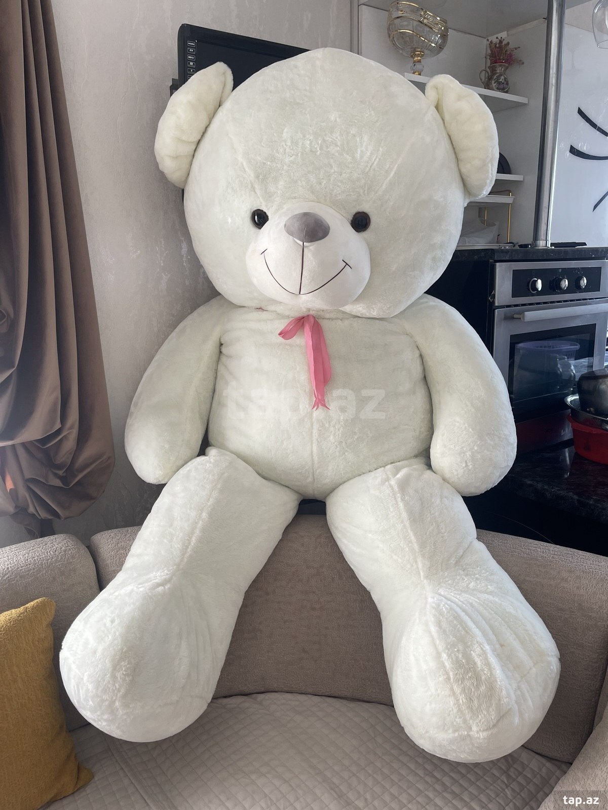 Oyuncaq ayı Teddy