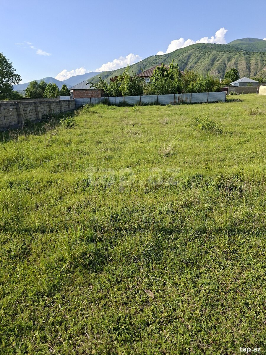 6 sot torpaq sahəsi, Şəki ş.