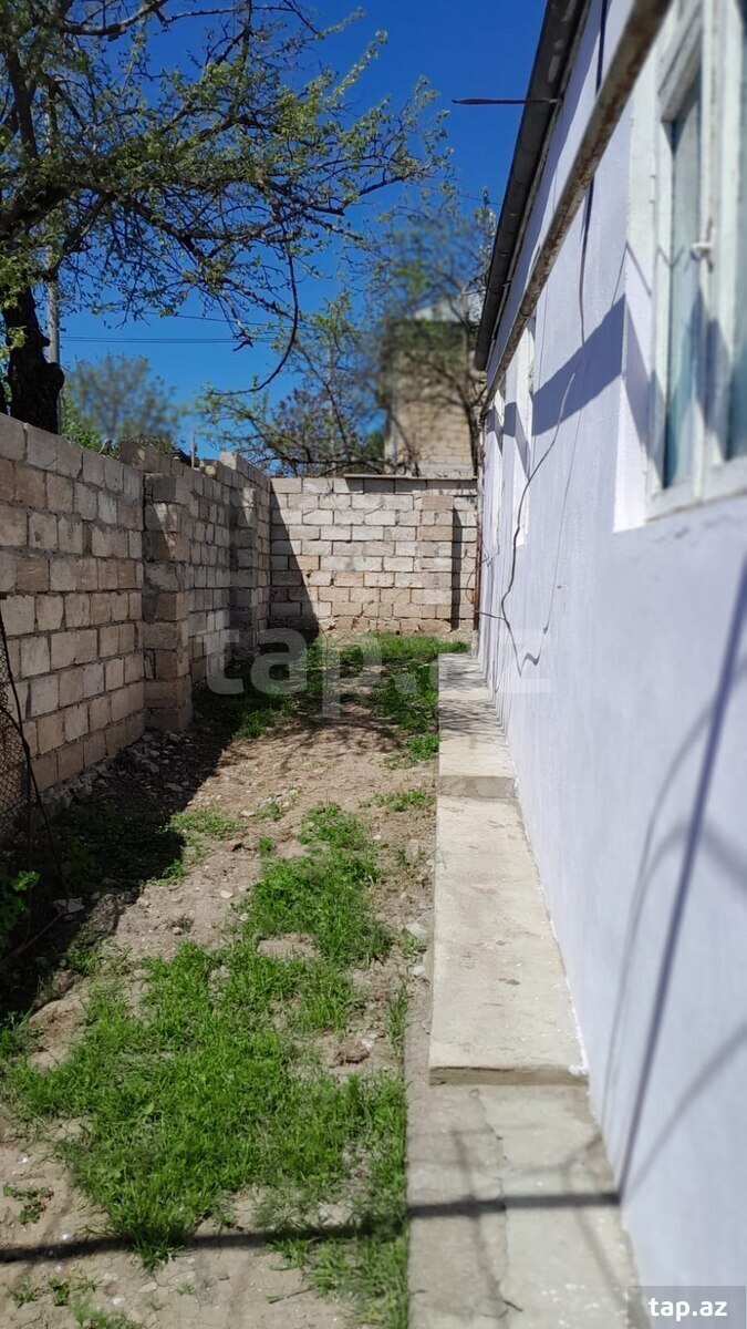 Həyət evi, Şamaxı r. (4)