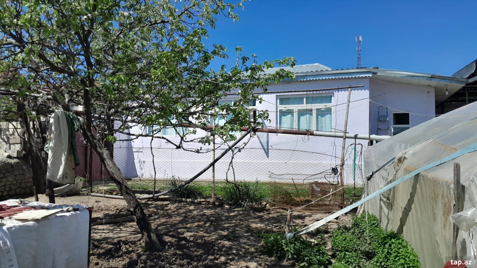 Həyət evi, Şamaxı r. (6)