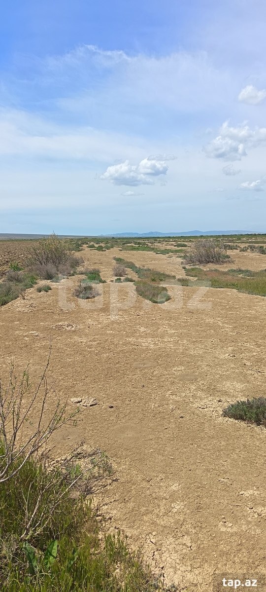 350 sot torpaq sahəsi, Hacıqabul r. (2)