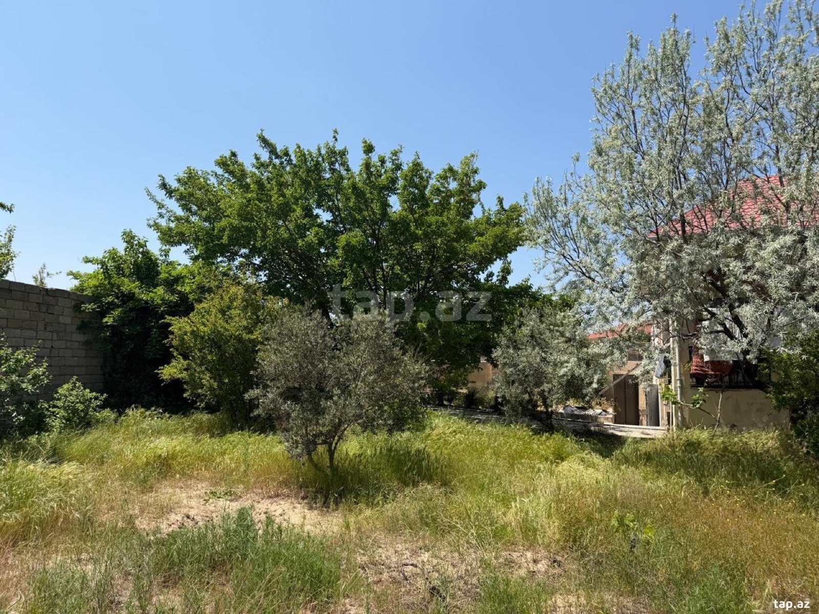 Bağ evi kirayə verilir, Pirşağı qəs.