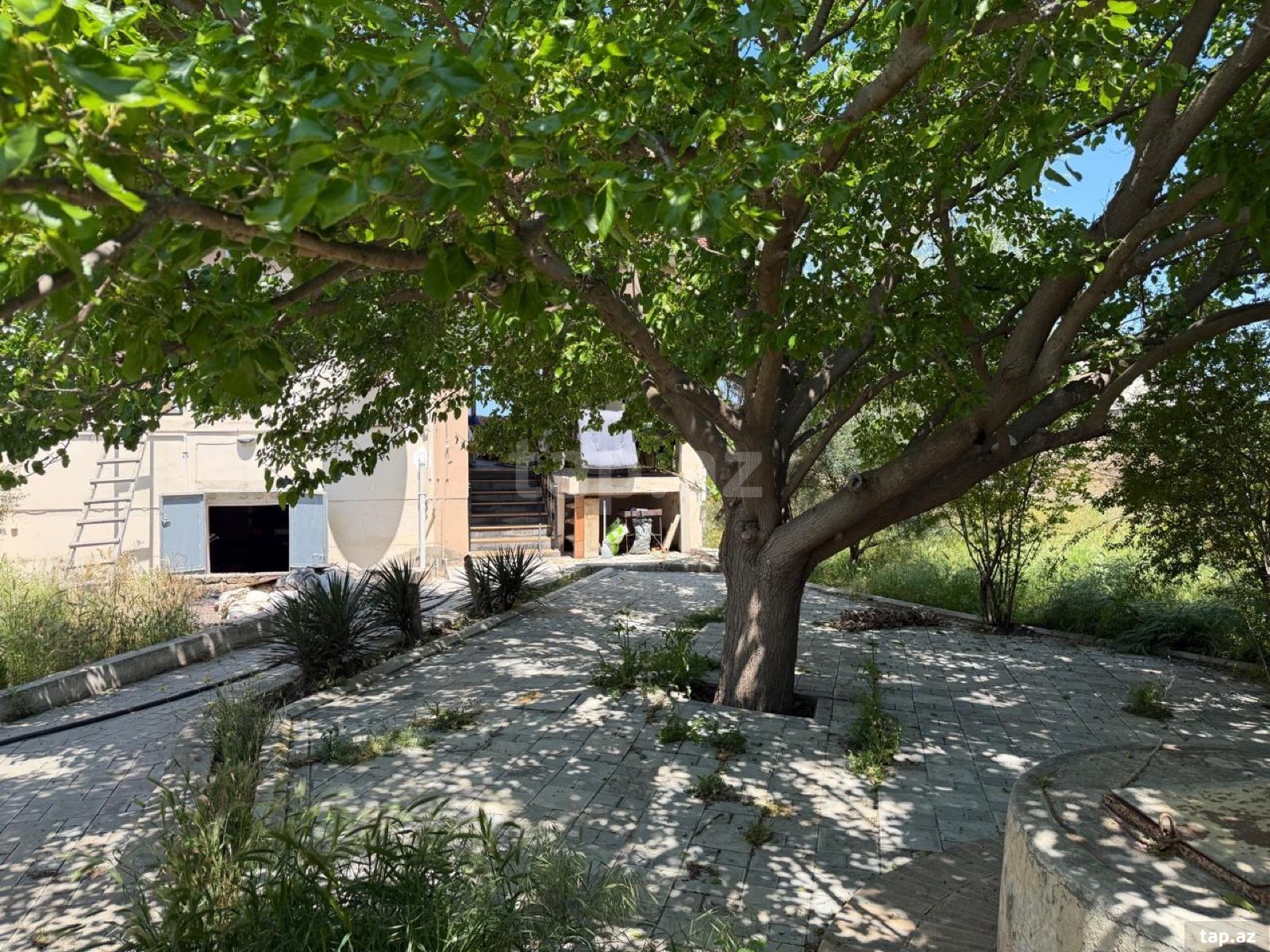 Bağ evi kirayə verilir, Pirşağı qəs.