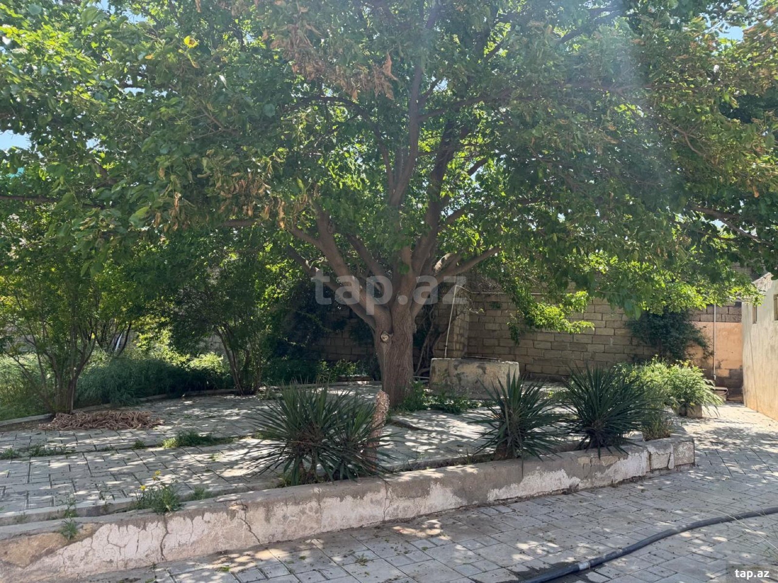 Bağ evi kirayə verilir, Pirşağı qəs.