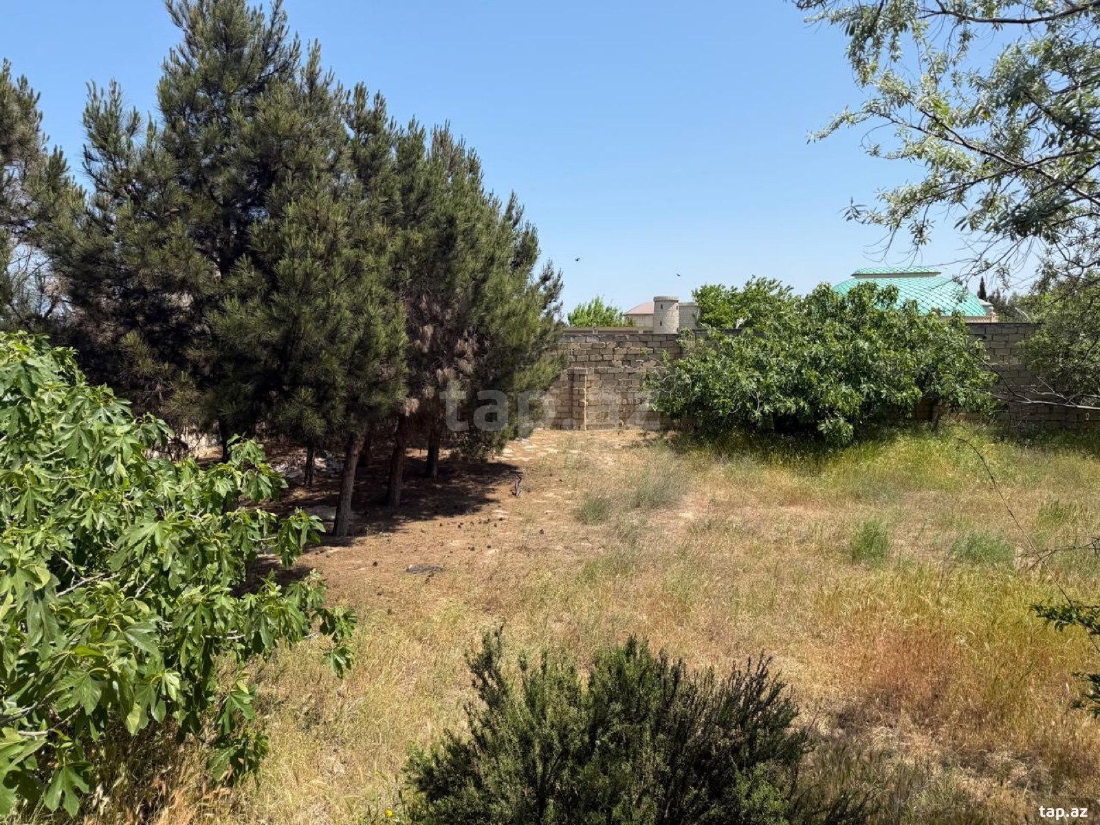 Bağ evi kirayə verilir, Pirşağı qəs.