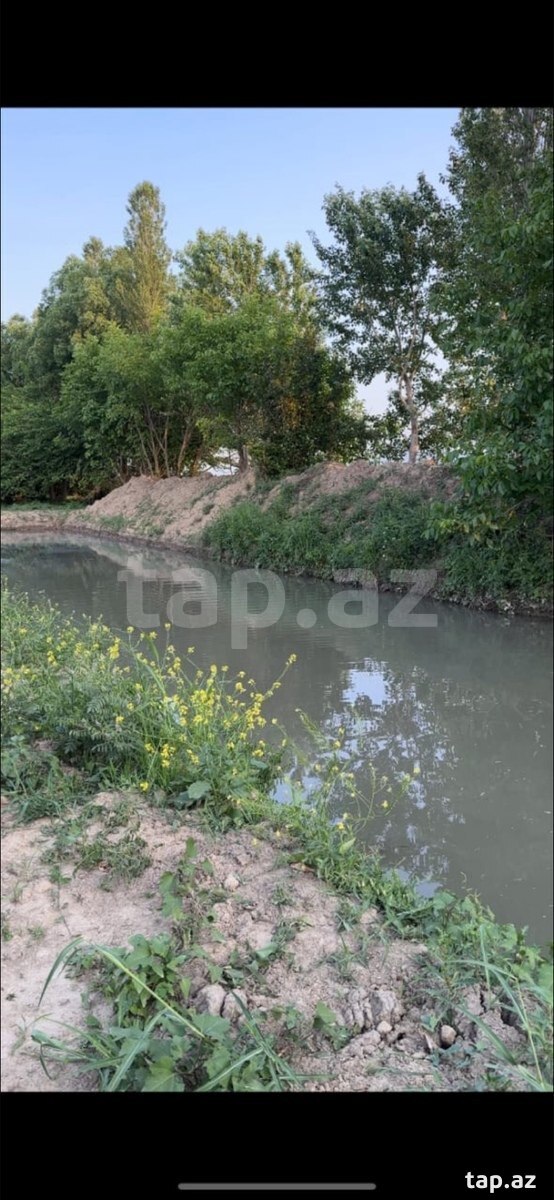 500 sot torpaq sahəsi, Xaçmaz r. (3)