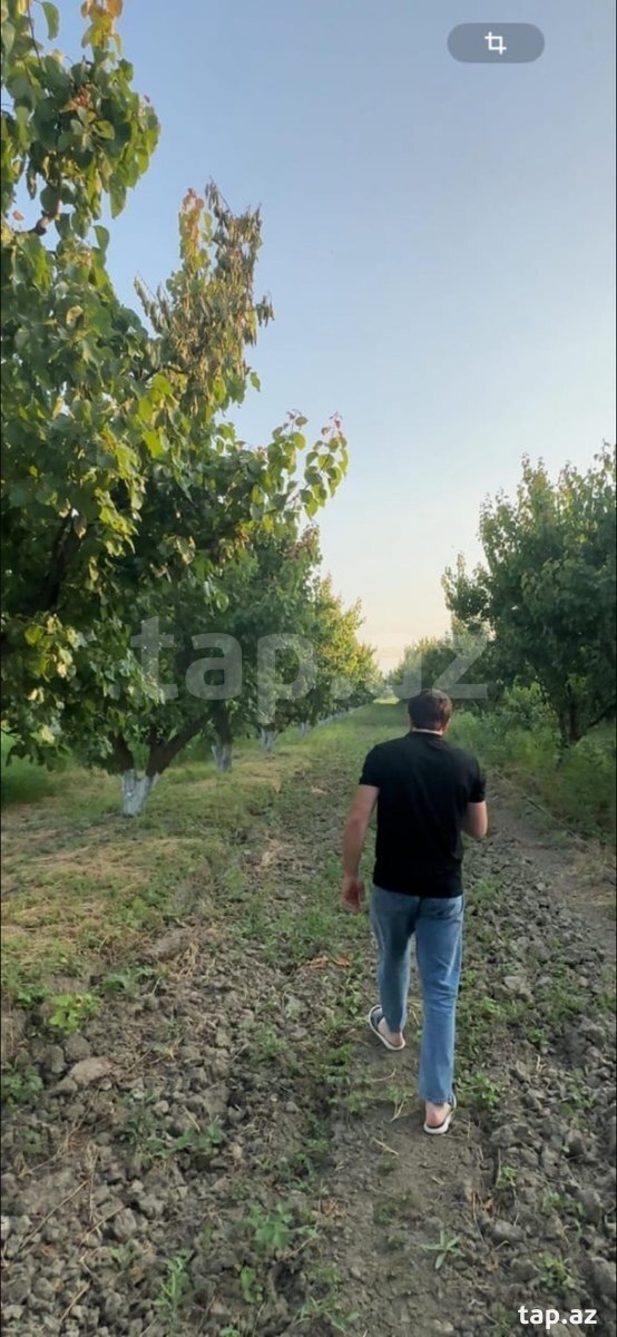500 sot torpaq sahəsi, Xaçmaz r. (5)