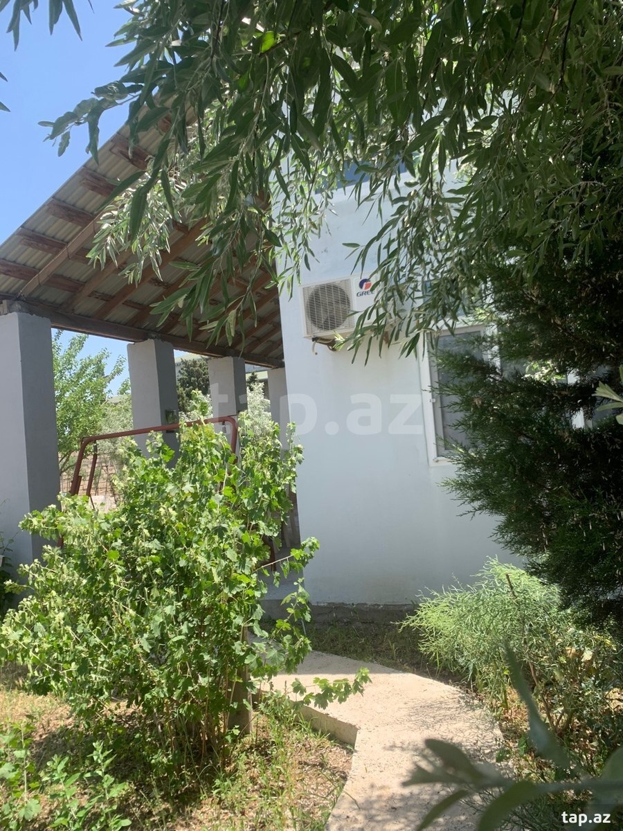 Bağ evi kirayə verilir, Mərdəkan qəs. (7)
