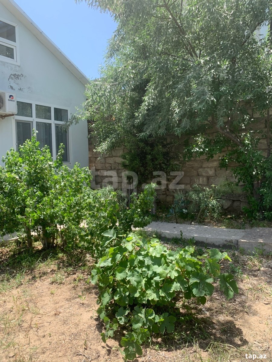 Bağ evi kirayə verilir, Mərdəkan qəs. (6)