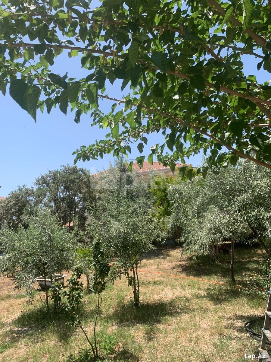 Bağ evi kirayə verilir, Mərdəkan qəs. (4)