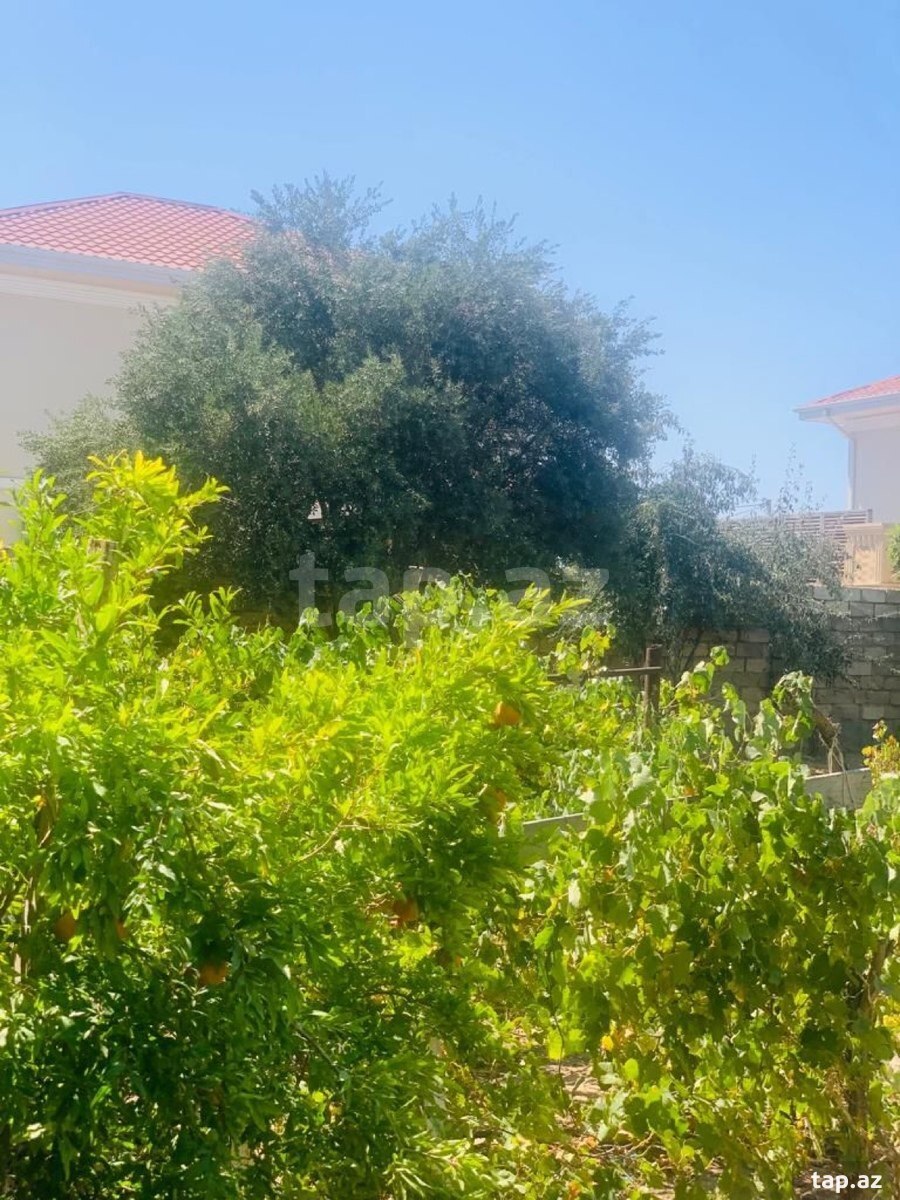 Bağ evi kirayə verilir, Mərdəkan qəs. (5)