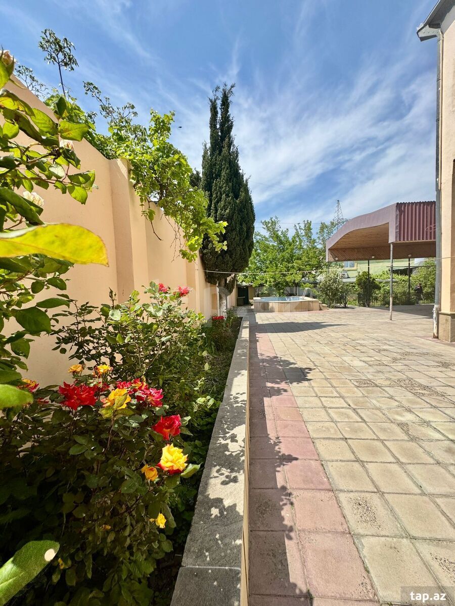 Həyət evi, Saray qəs.