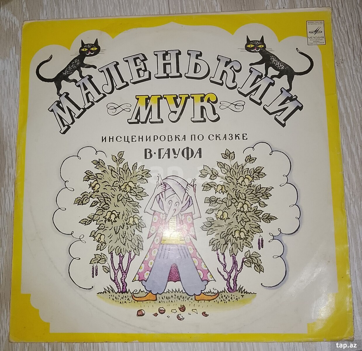 Vinil plastinkalar (15)
