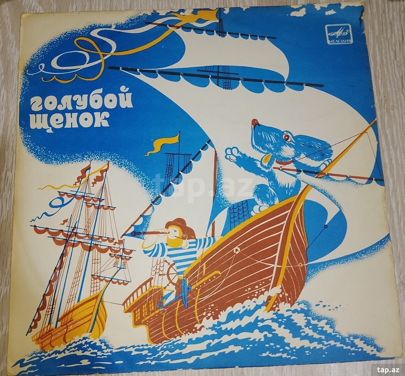 Vinil plastinkalar (19)