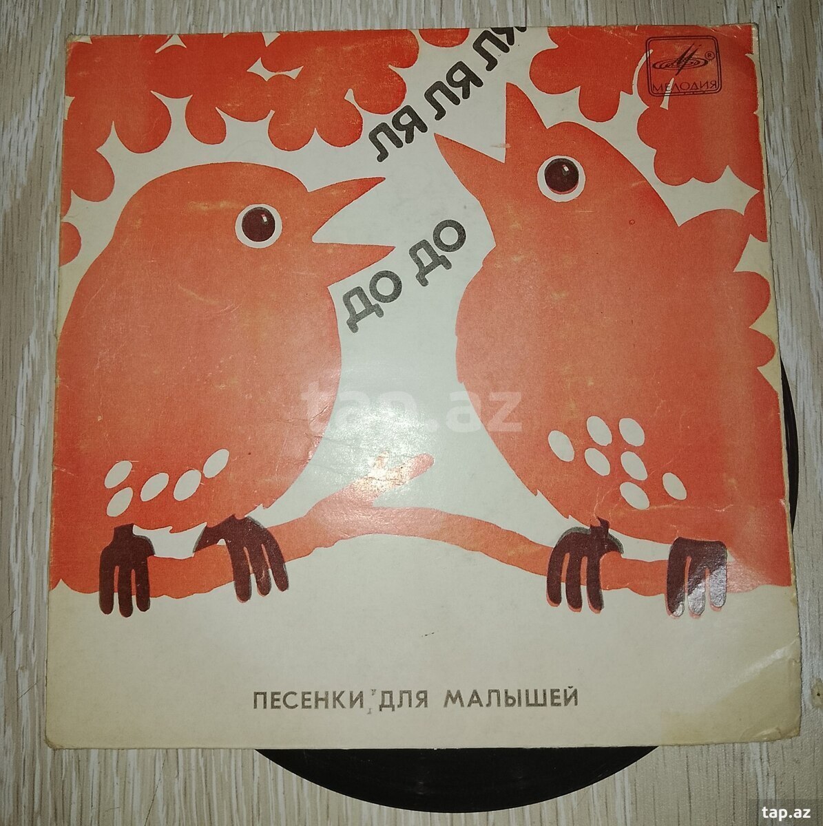 Vinil plastinkalar (21)