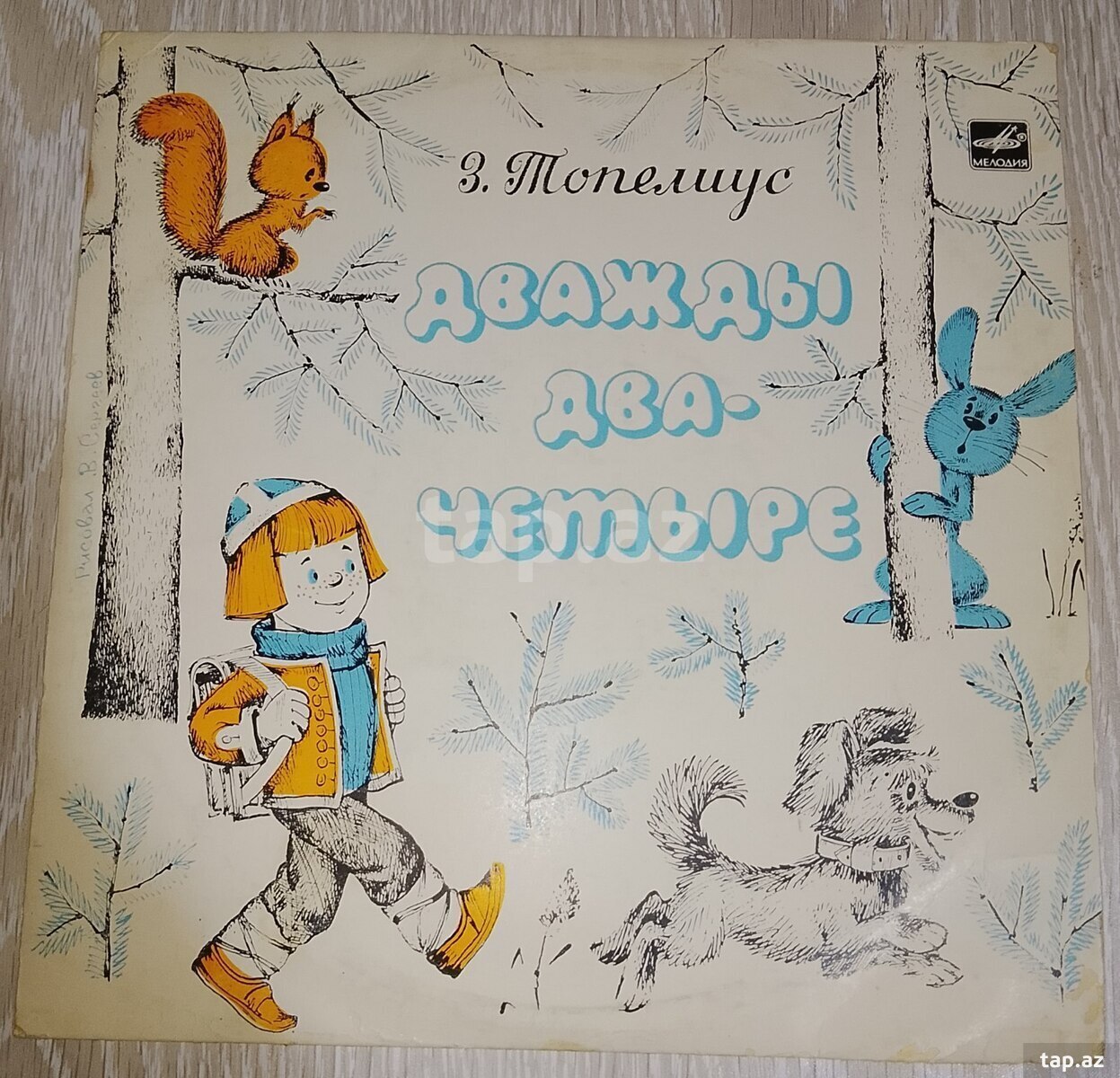 Vinil plastinkalar (22)