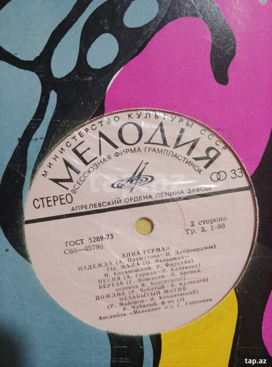 Vinil plastinkalar (33)