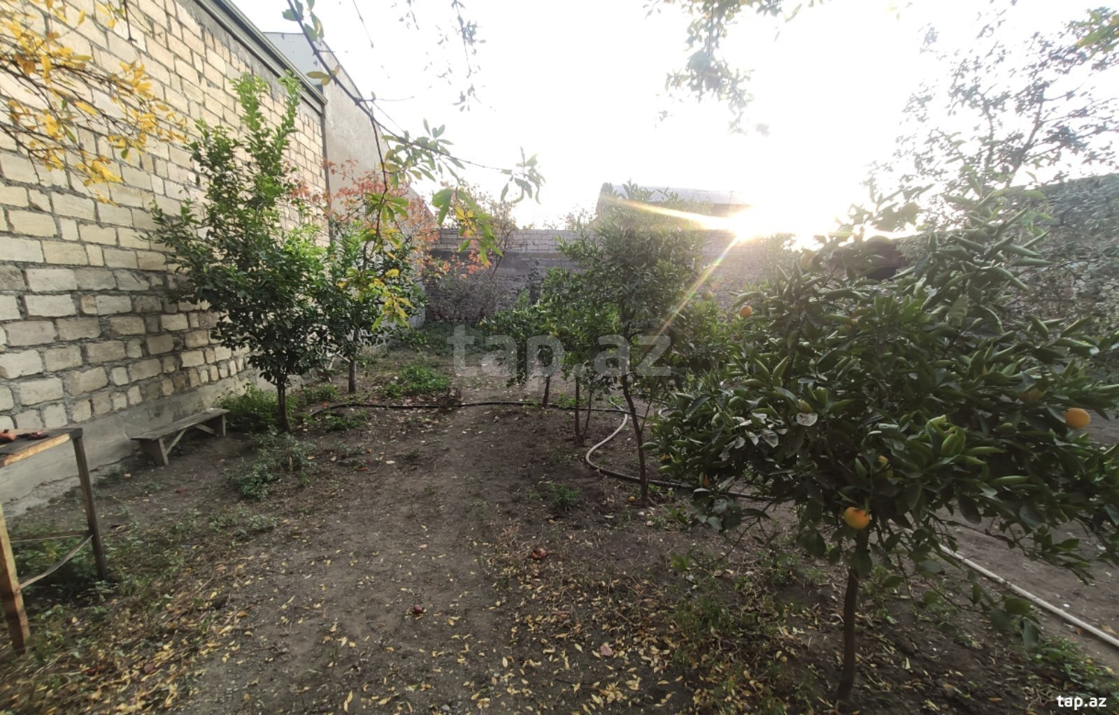 3 sot torpaq sahəsi, Gəncə ş. (6)