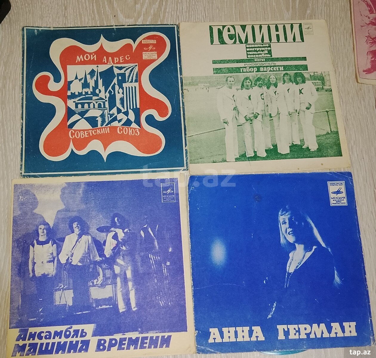 Qramplastinkalar (19)