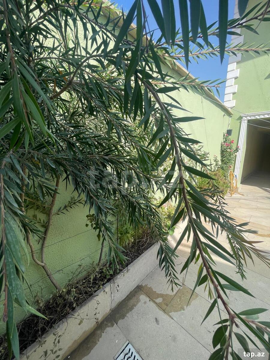 Həyət evi, Binəqədi qəs. (4)