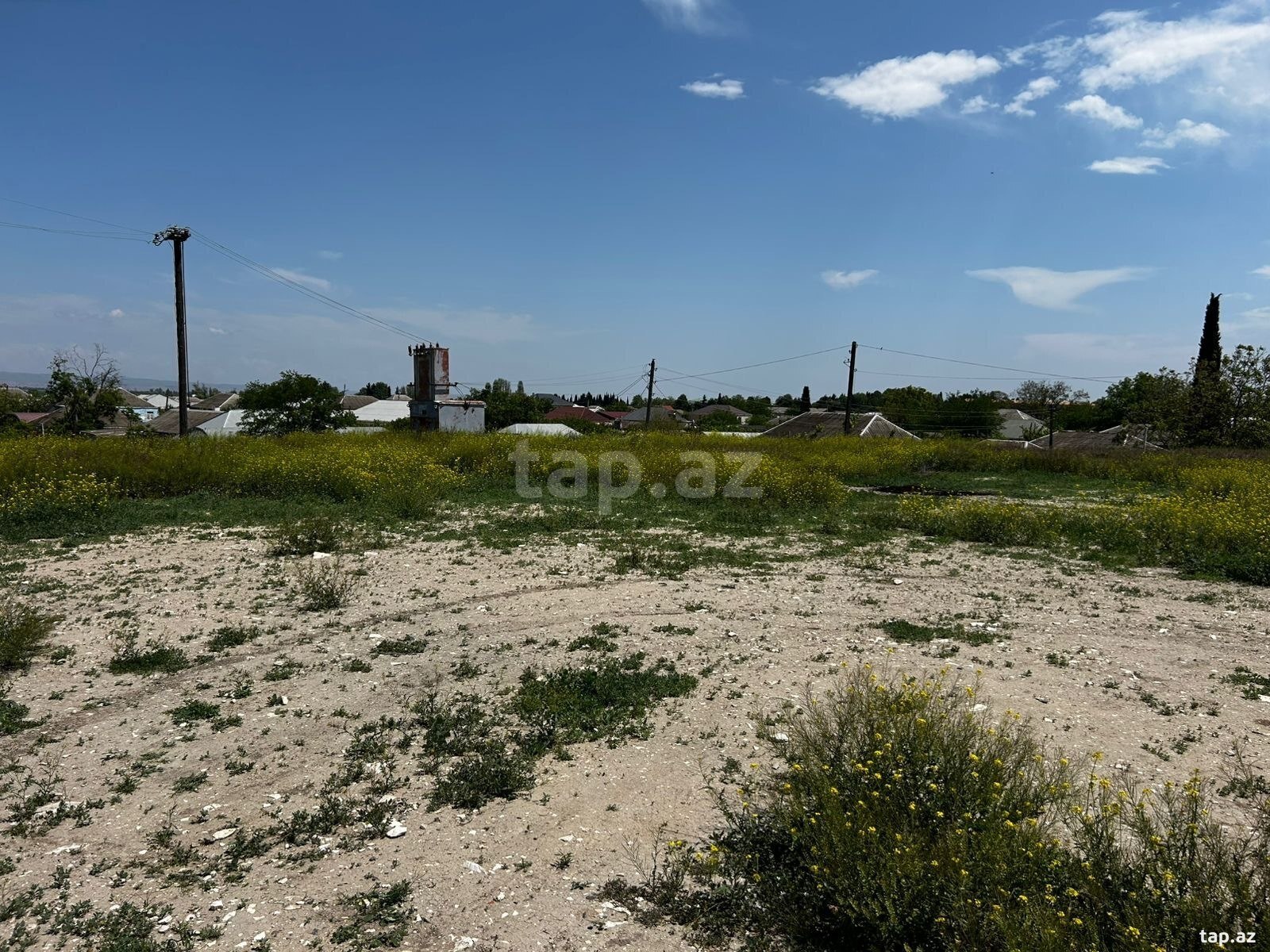 4 sot torpaq sahəsi, Tovuz r. (6)