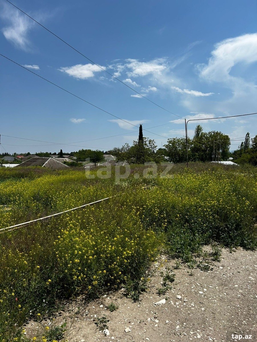 4 sot torpaq sahəsi, Tovuz r. (7)