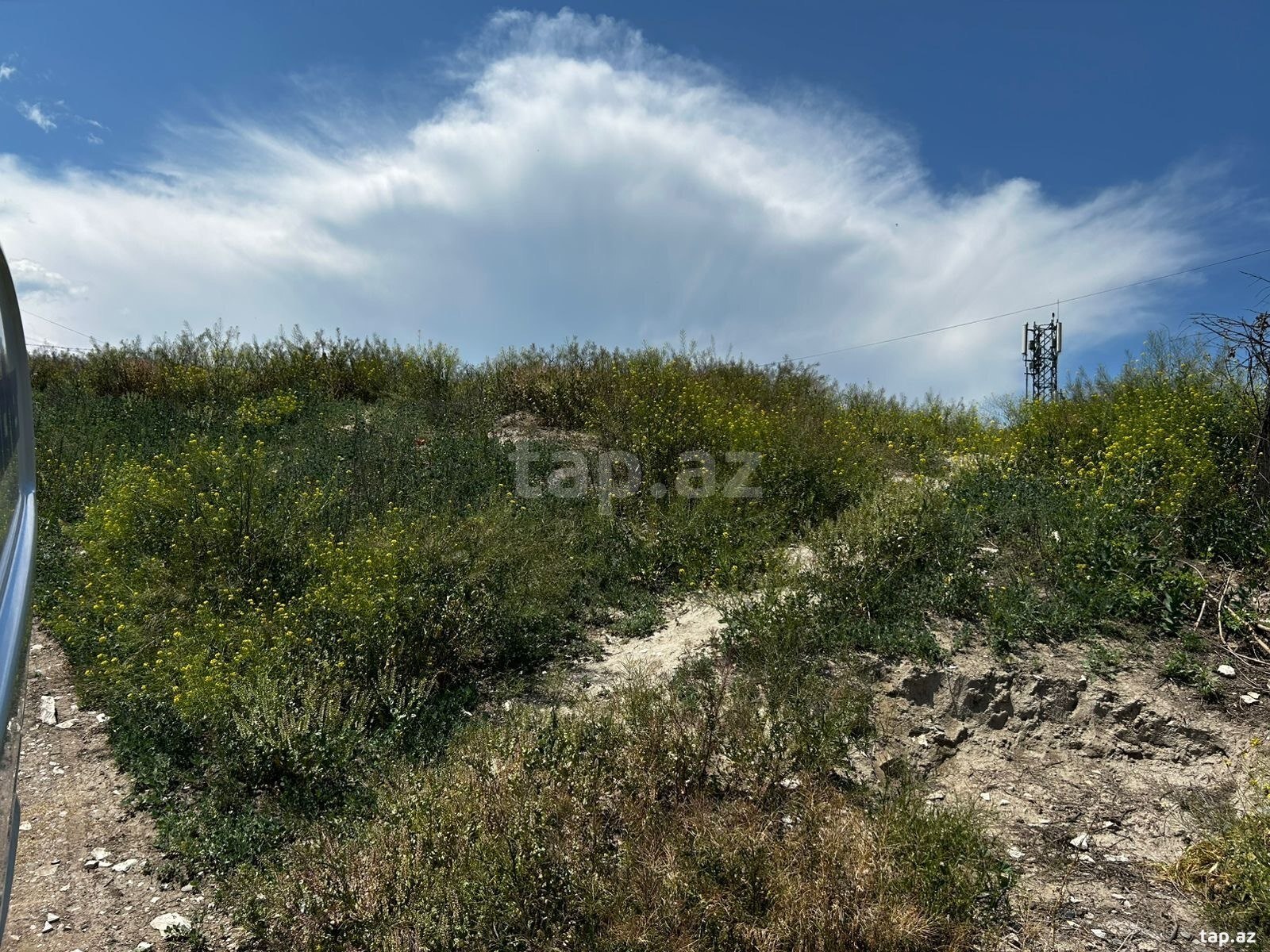 4 sot torpaq sahəsi, Tovuz r. (2)