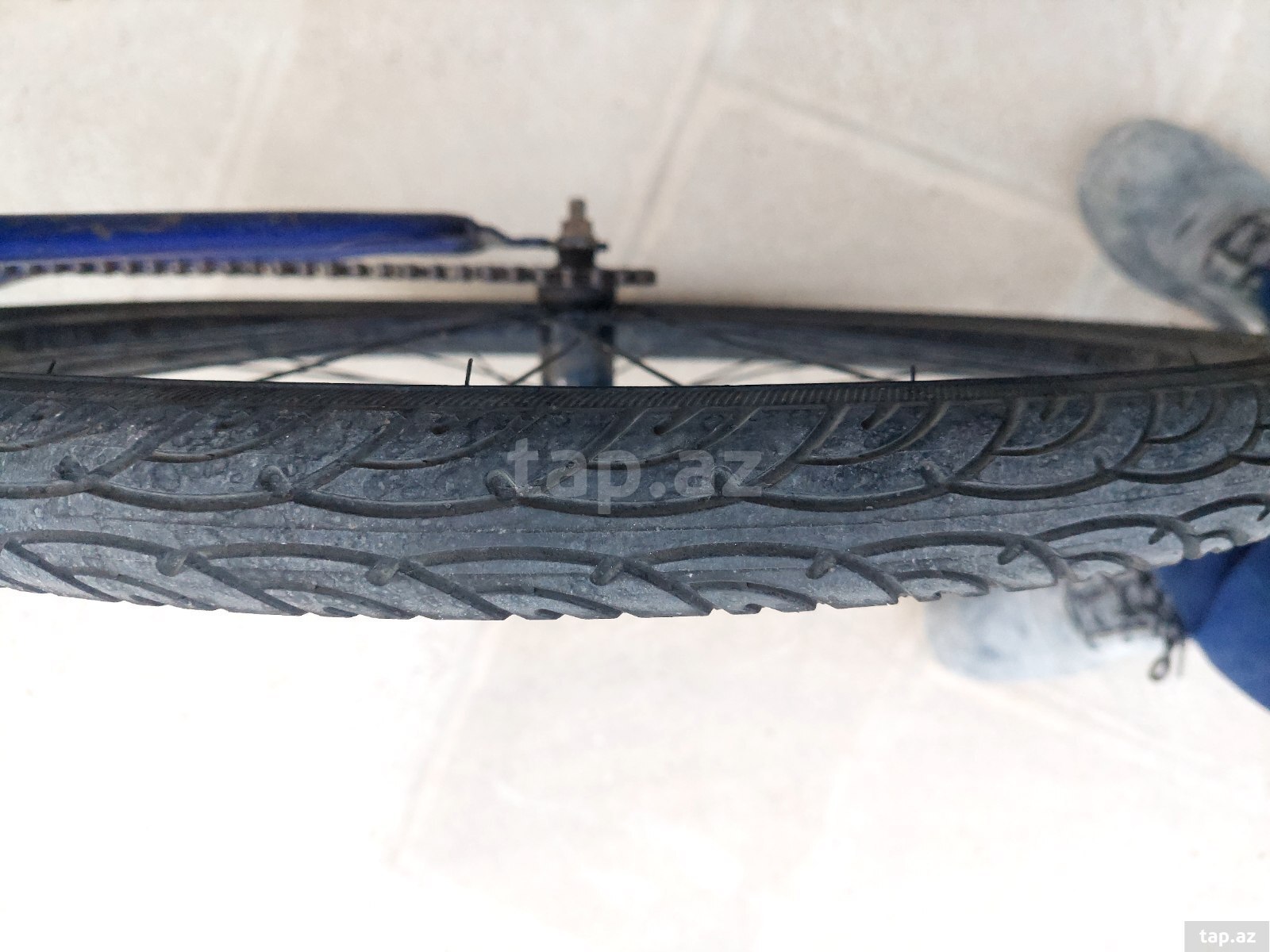 Velosiped (3)