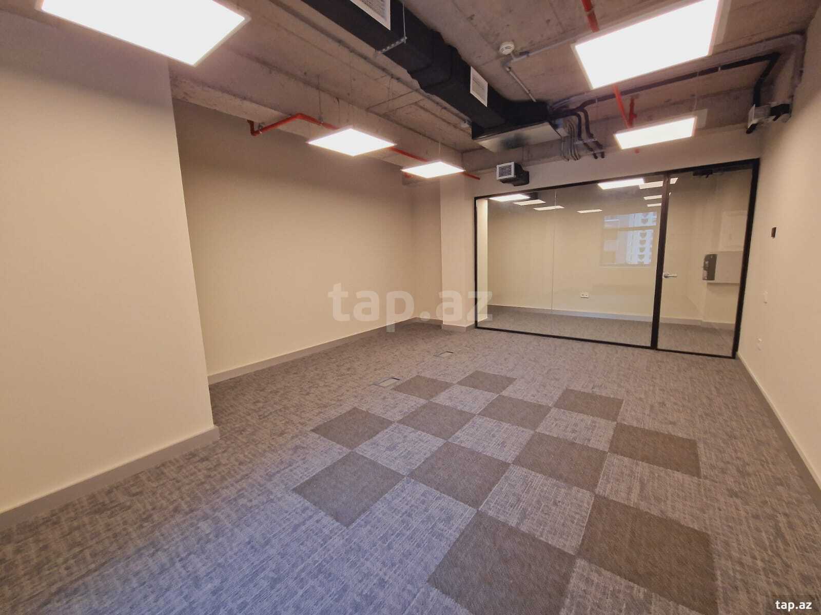 Ofis icarəyə verilir, 28 May m. (6)