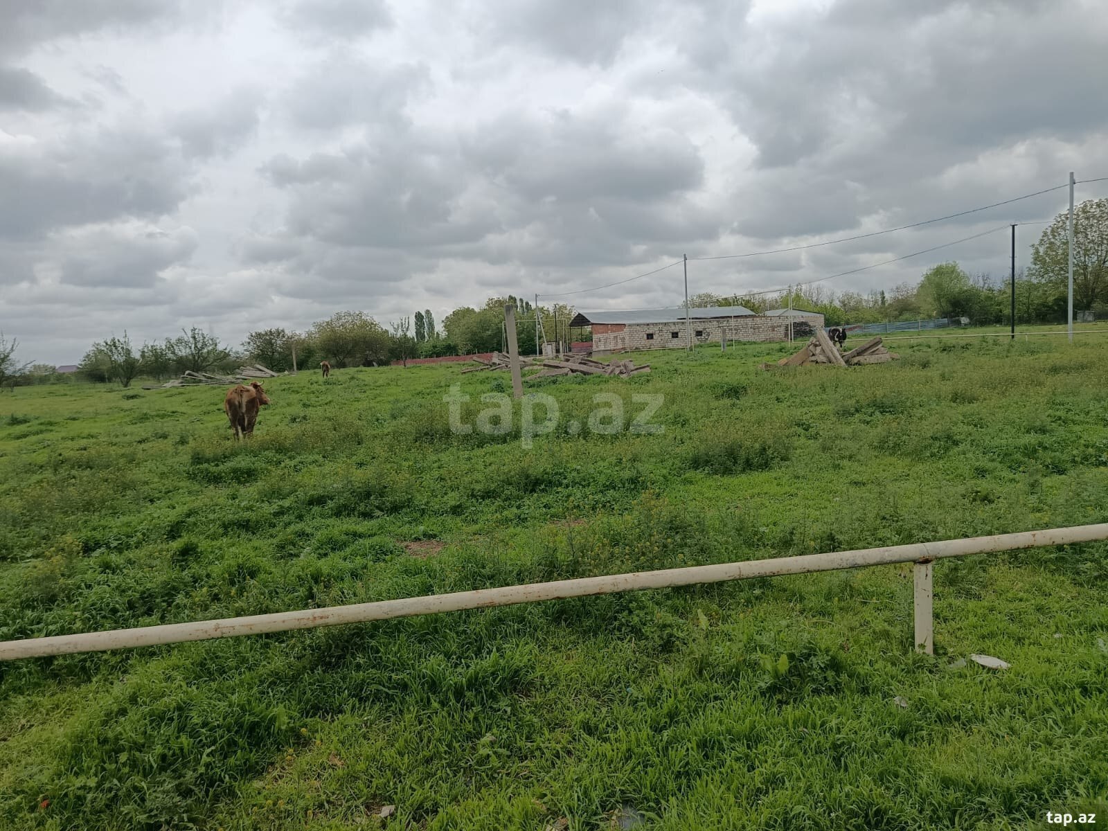 10 sot torpaq sahəsi, Qazax r. (2)