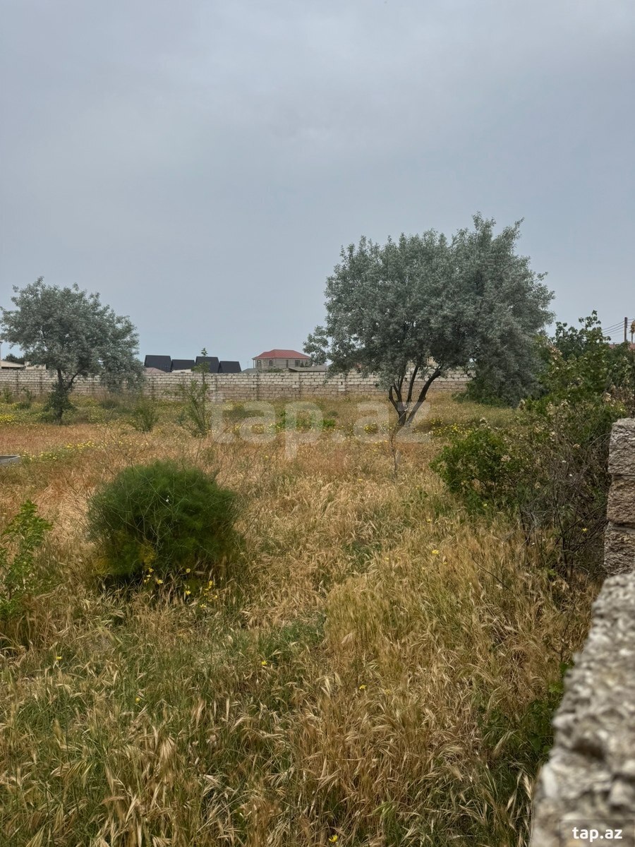 6 sot torpaq sahəsi, Kürdəxanı qəs. (5)