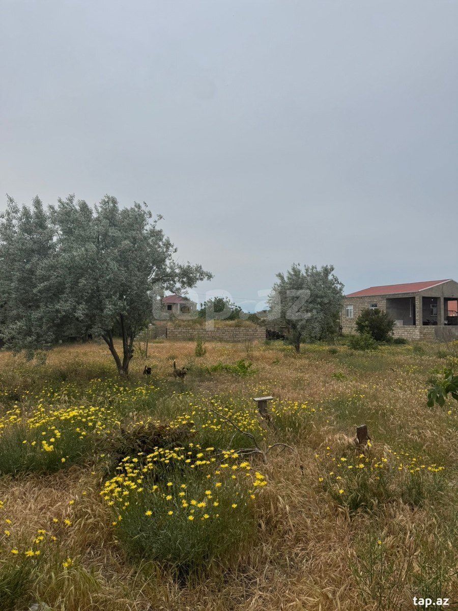 6 sot torpaq sahəsi, Kürdəxanı qəs. (8)
