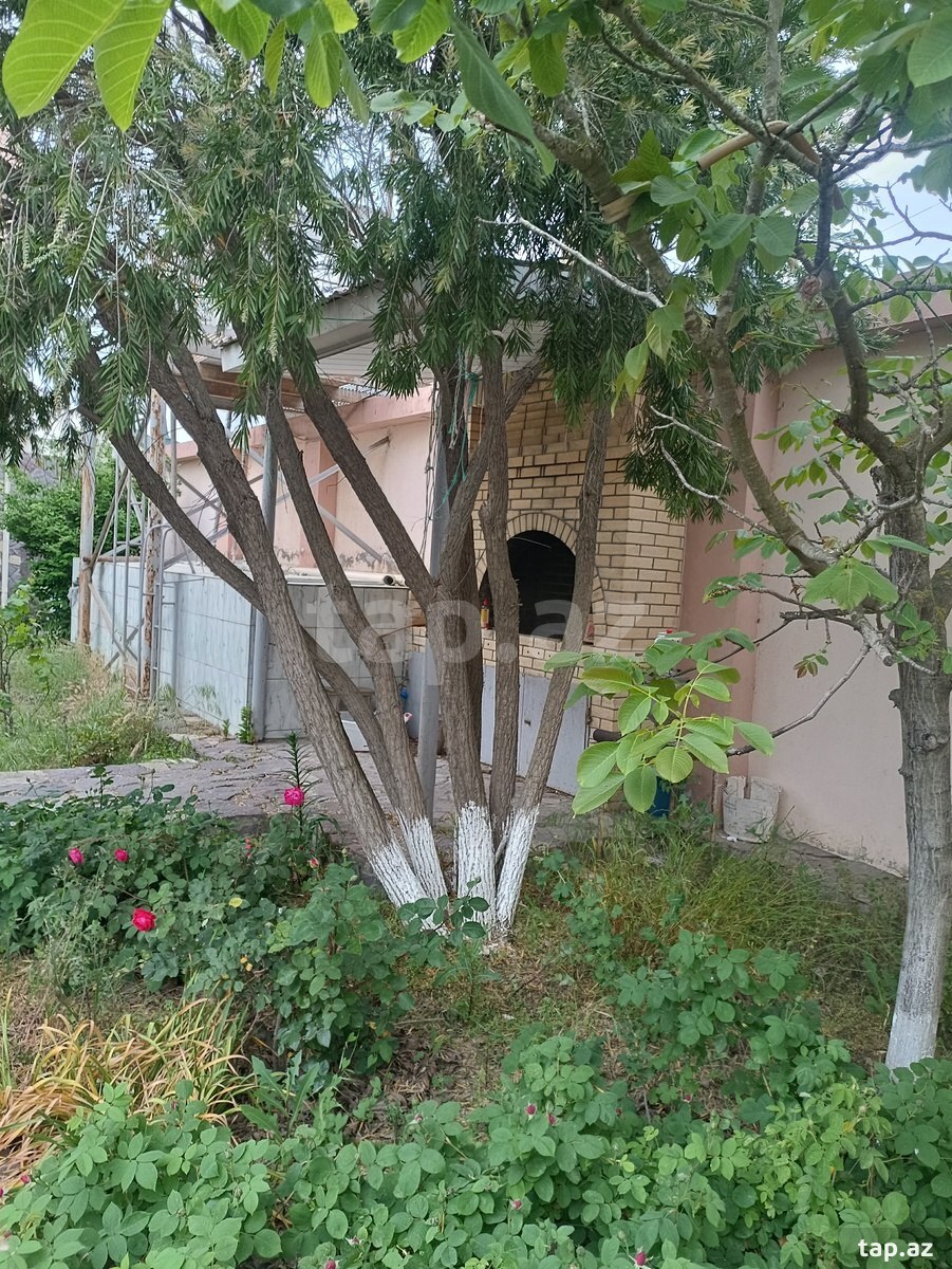 Bağ evi, Ləhic bağları (5)
