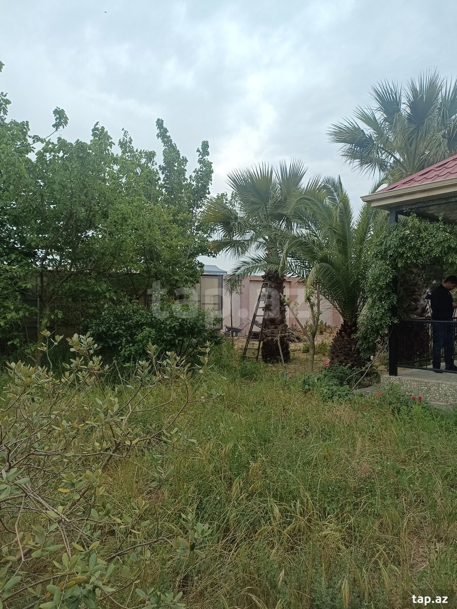 Bağ evi, Ləhic bağları (4)