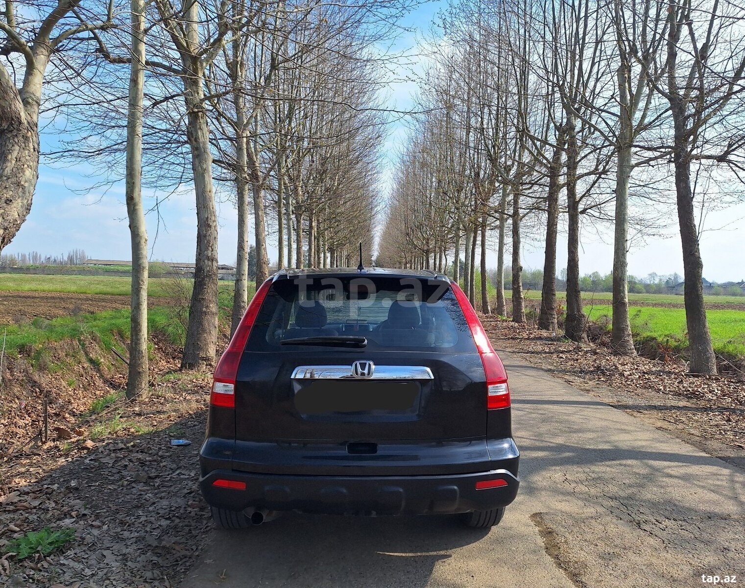 Honda CR-V, 2007 il (2)