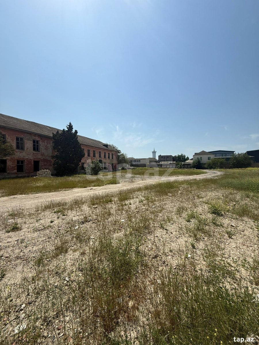 Torpaq satılır, Bakı